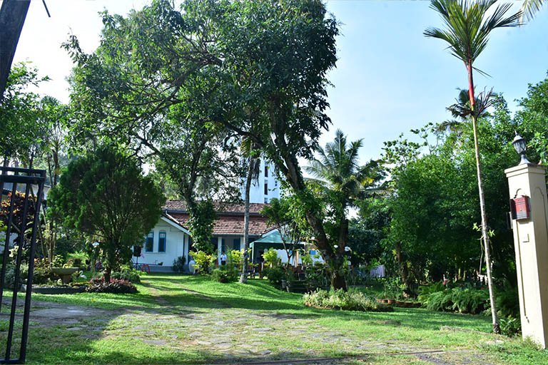 Brand_New_Centers_01